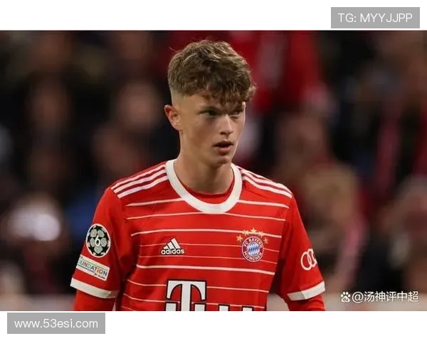 德甲20支球队身价排行及市场价值分析