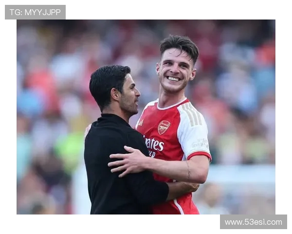 热刺球迷挑衅赖斯在比赛中展示妻子照片引发争议